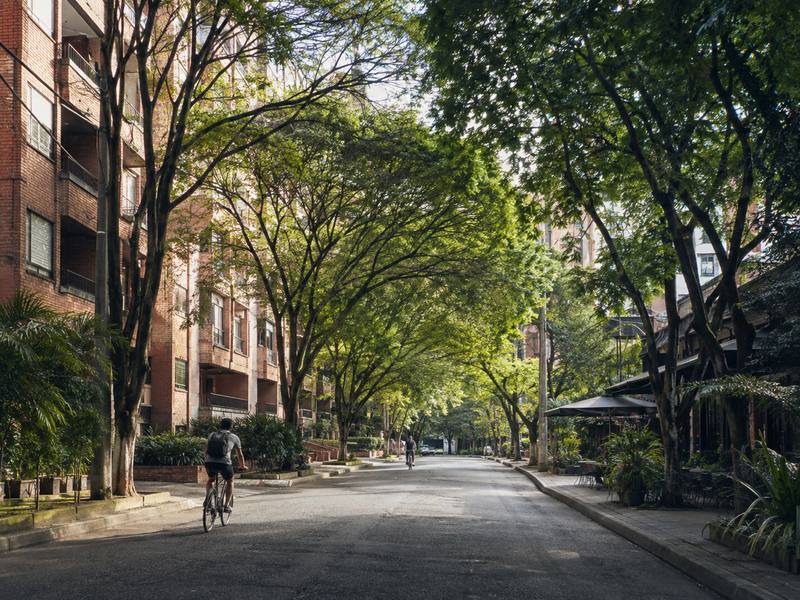 Tree-lined residential street in Laureles